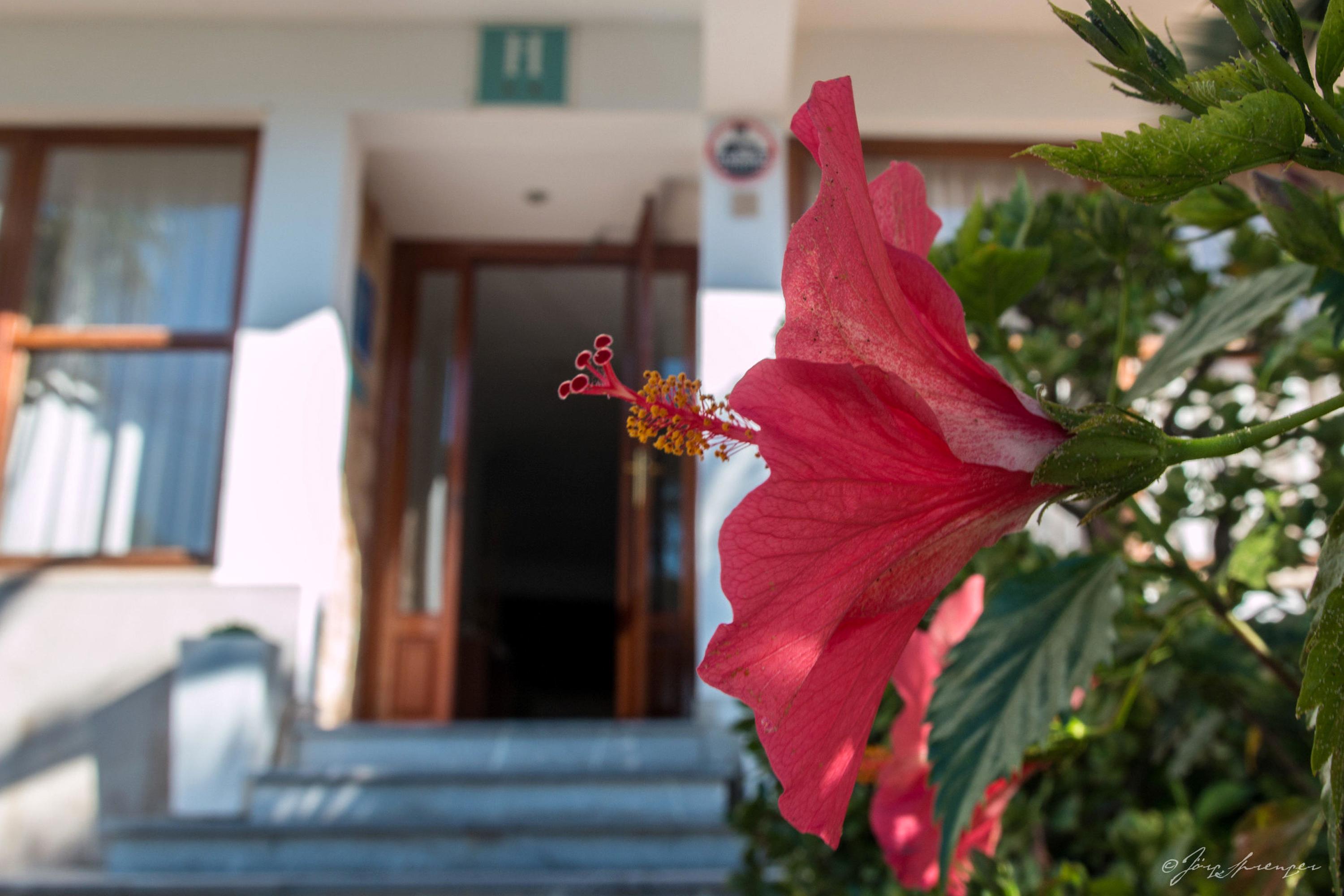 Hotel Santanyi Port Cala Figuera  Buitenkant foto